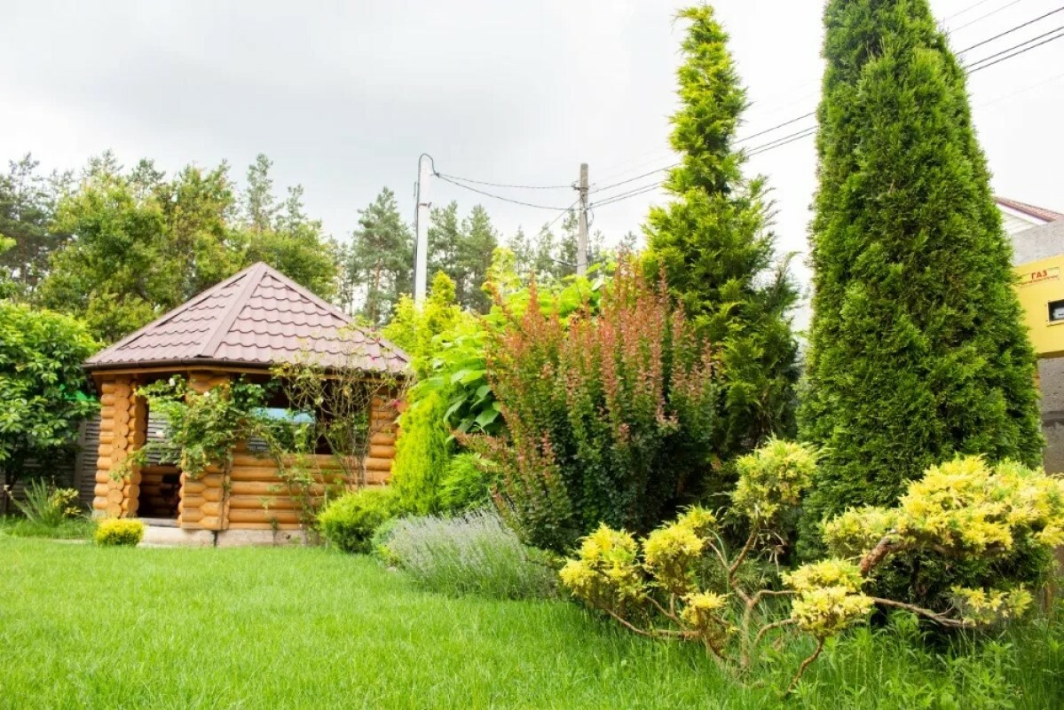 https://saransk.tgv-stroy.ru/storage/app/uploads/public/637/ef4/fb3/637ef4fb3605f391429275.png